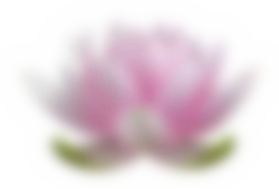 Экстракт лотоса