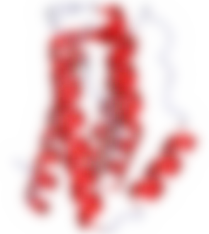 Antileukine 6 (Интерлейкин 6)