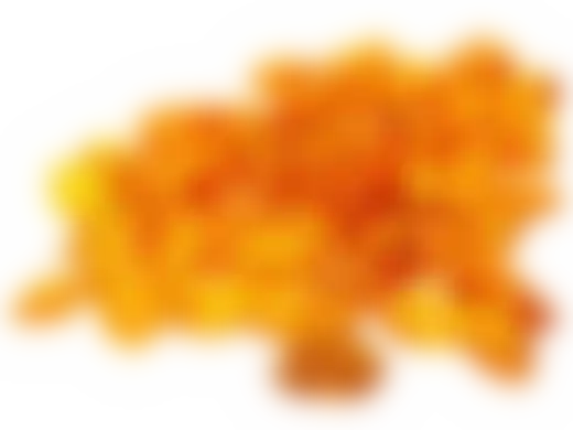 Экстракт янтаря