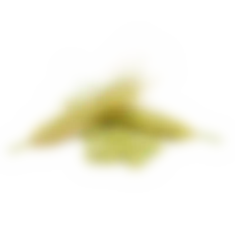 Экстракт ячменя двурядного