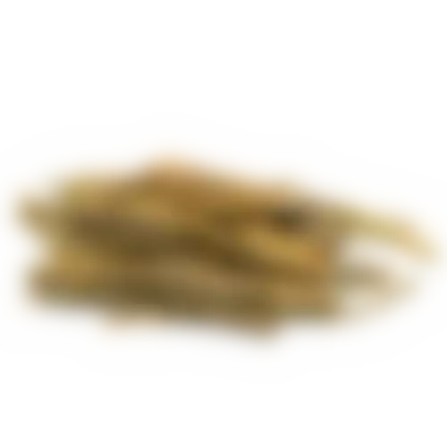Экстракт коры ивы