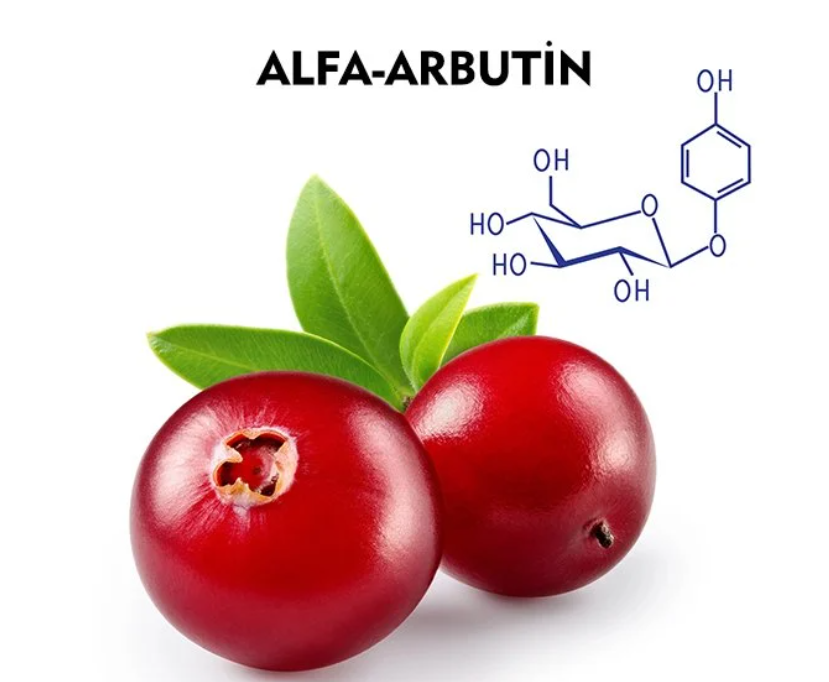 Арбутин