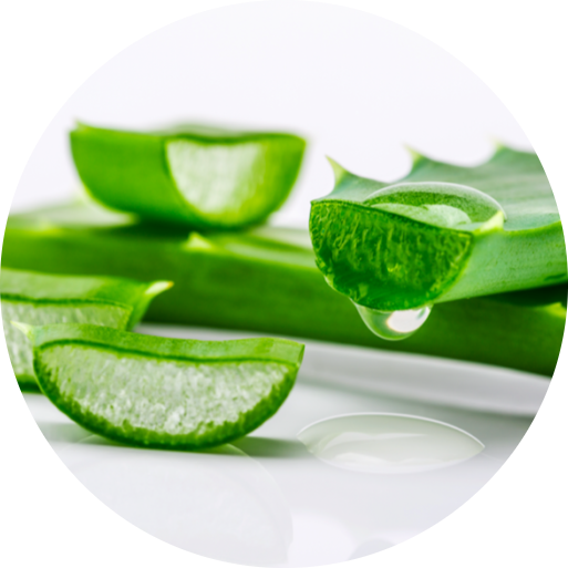 Сок листьев алоэ вера