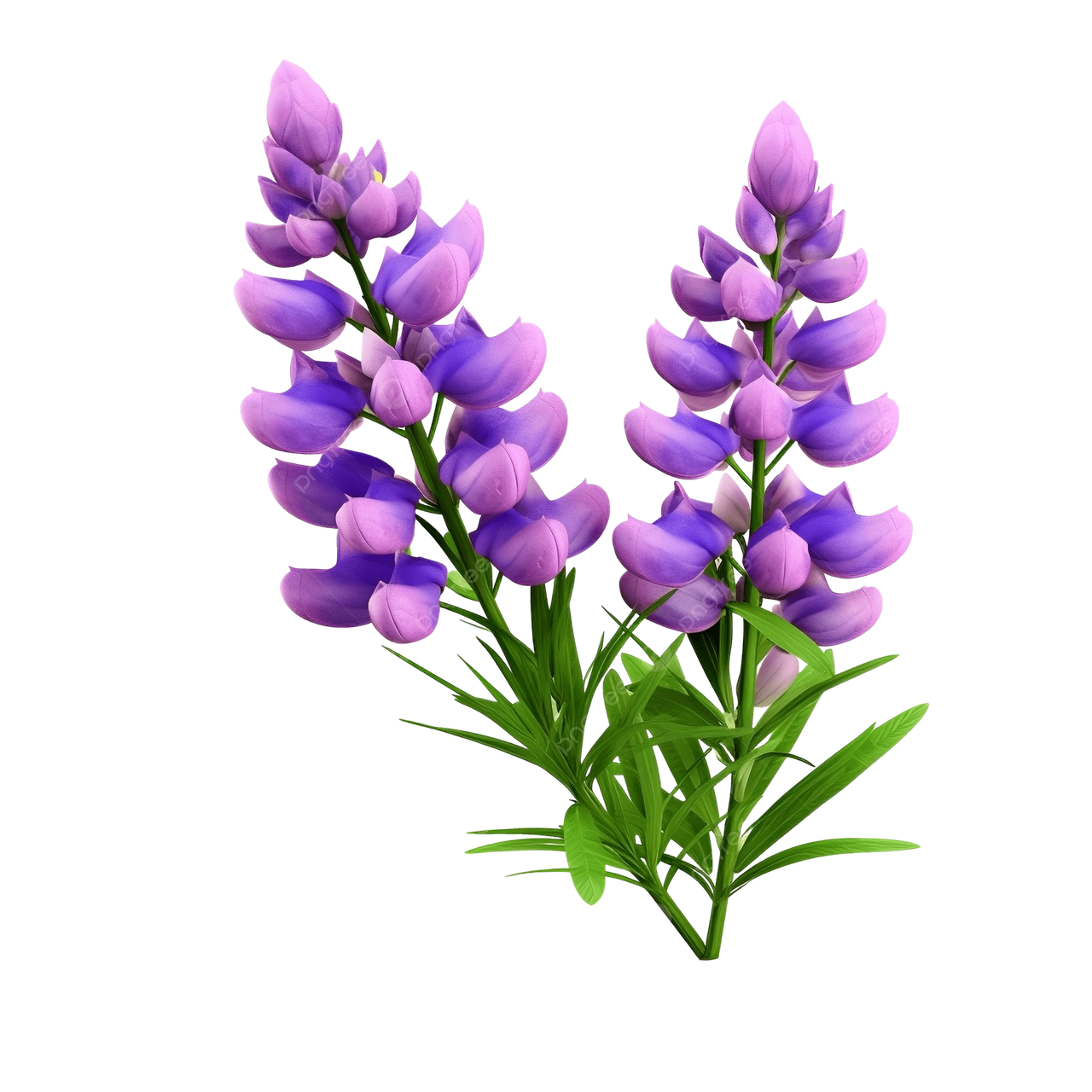 Гидролизованный белок люпина